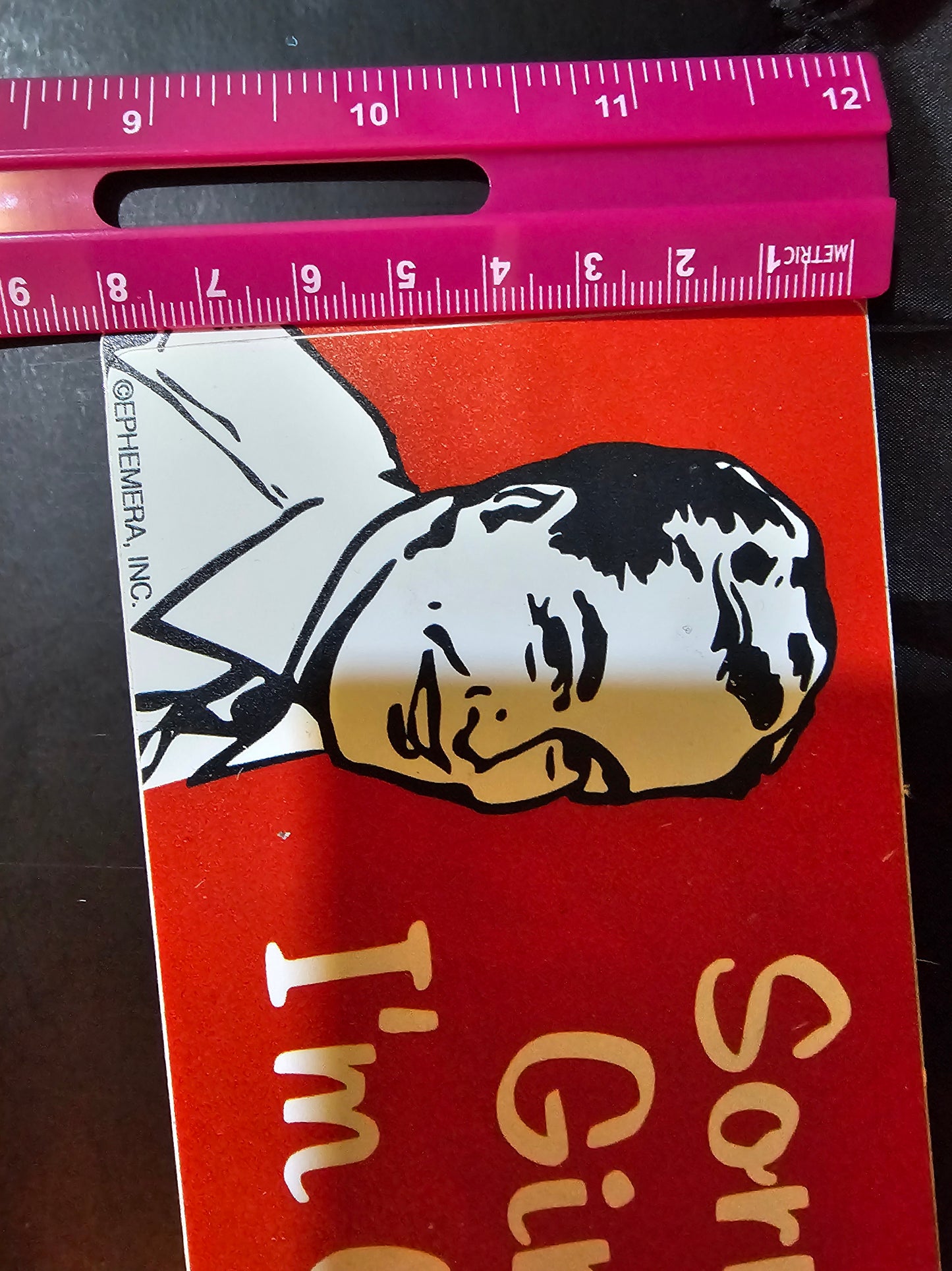 Sticker - Sorry Girls