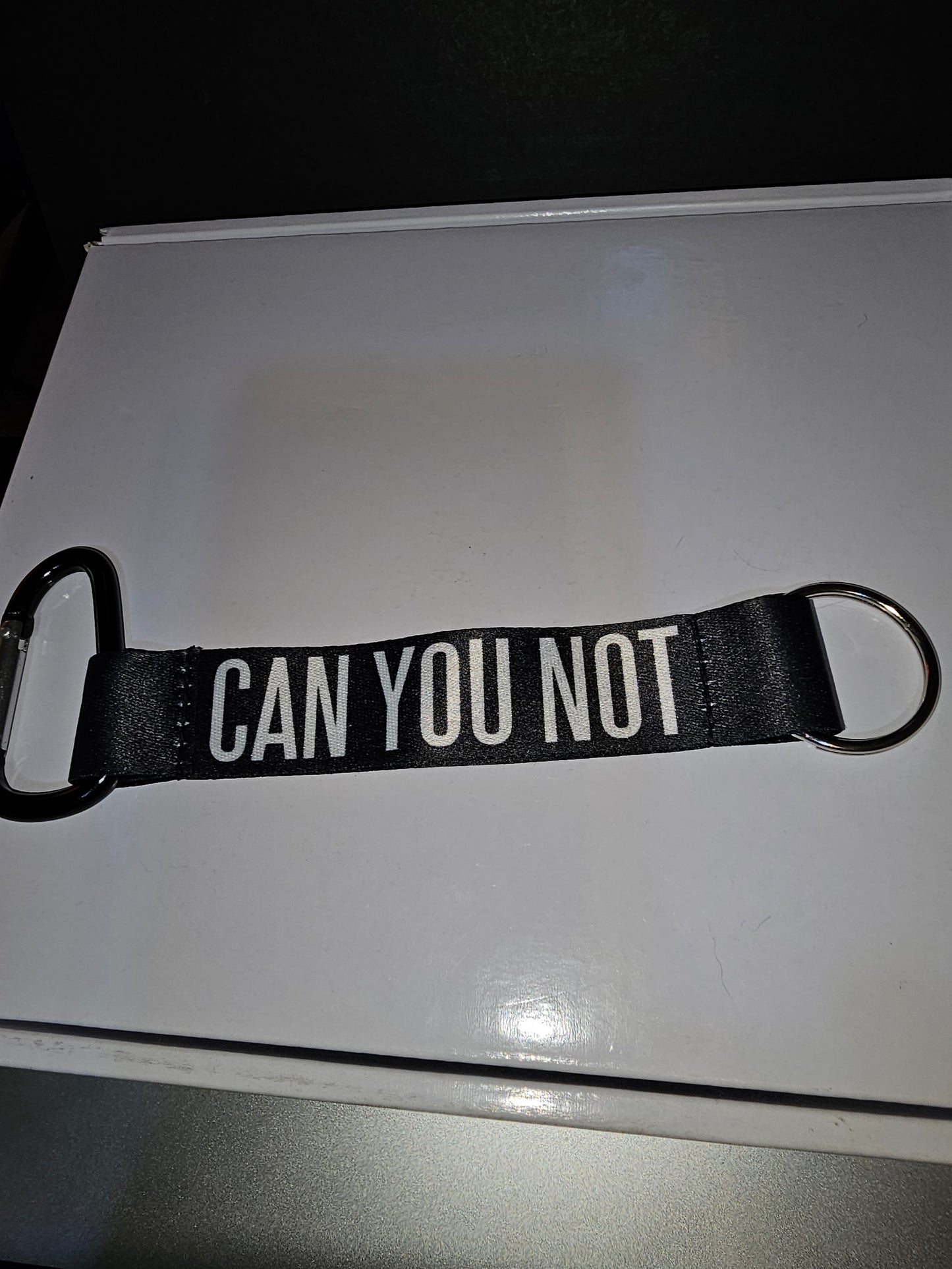 Funny keychain - Can You Not