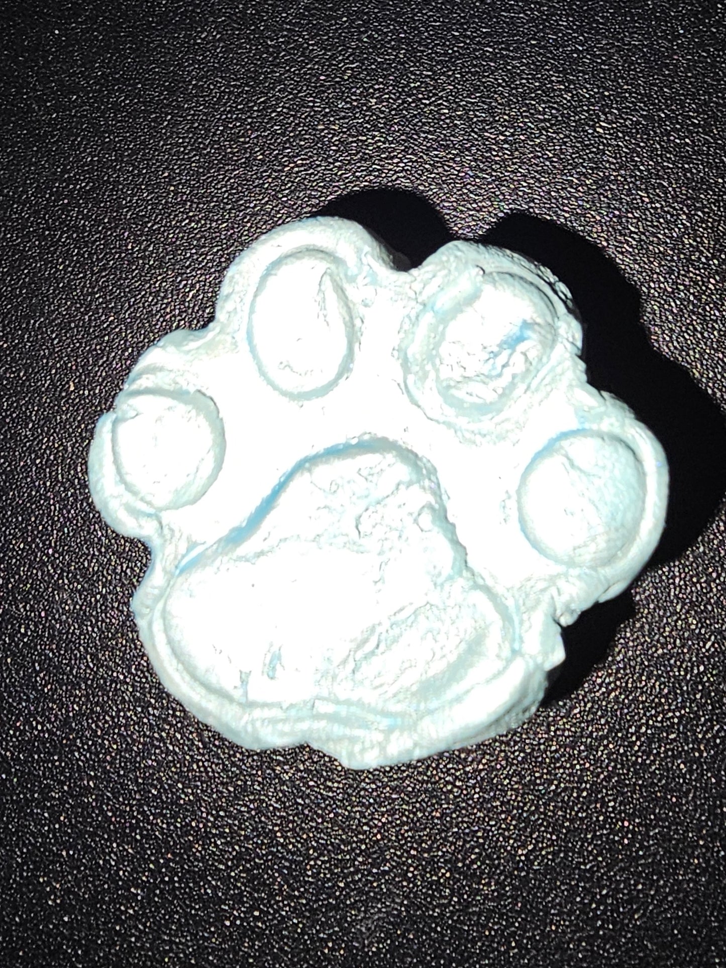 Paw print magnet