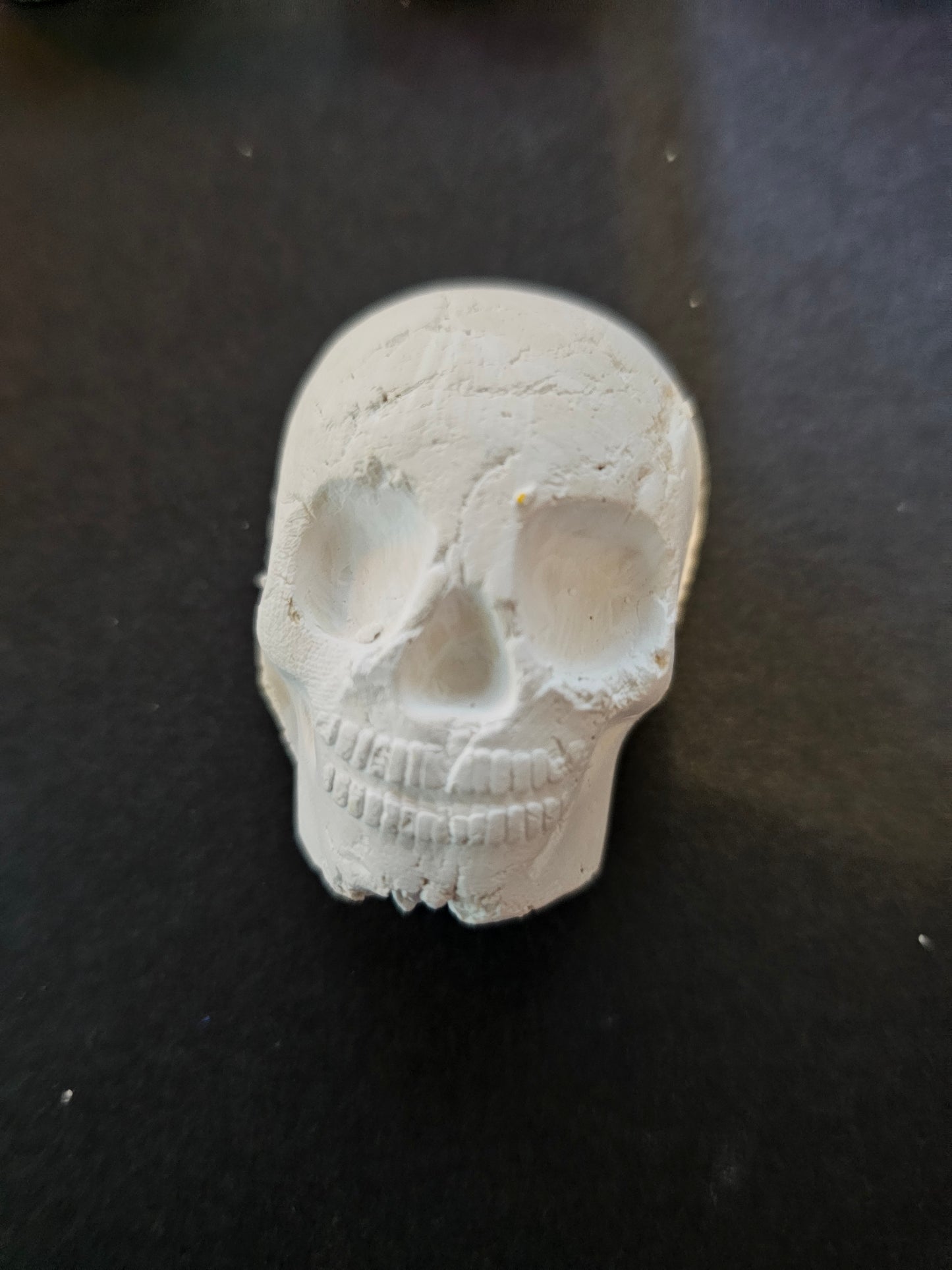 Skull magnet