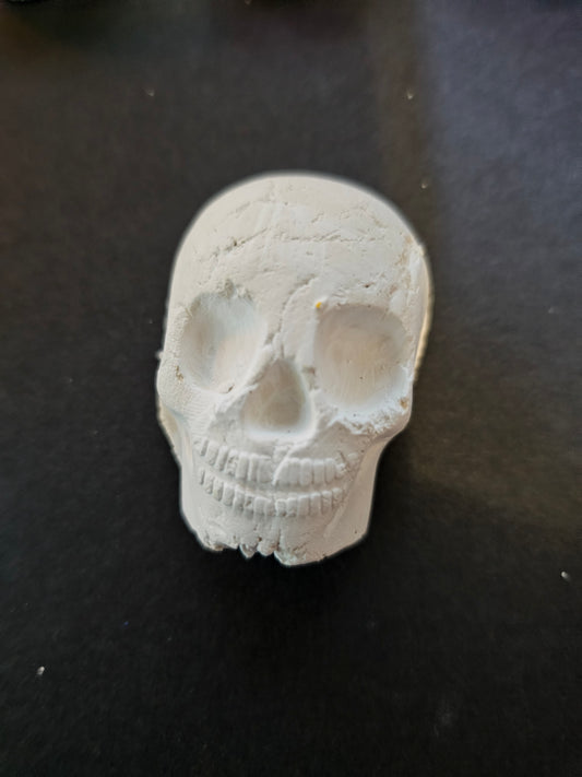 Skull magnet