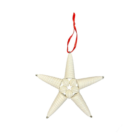 Jumbo Cereal Box Star Ornament- White