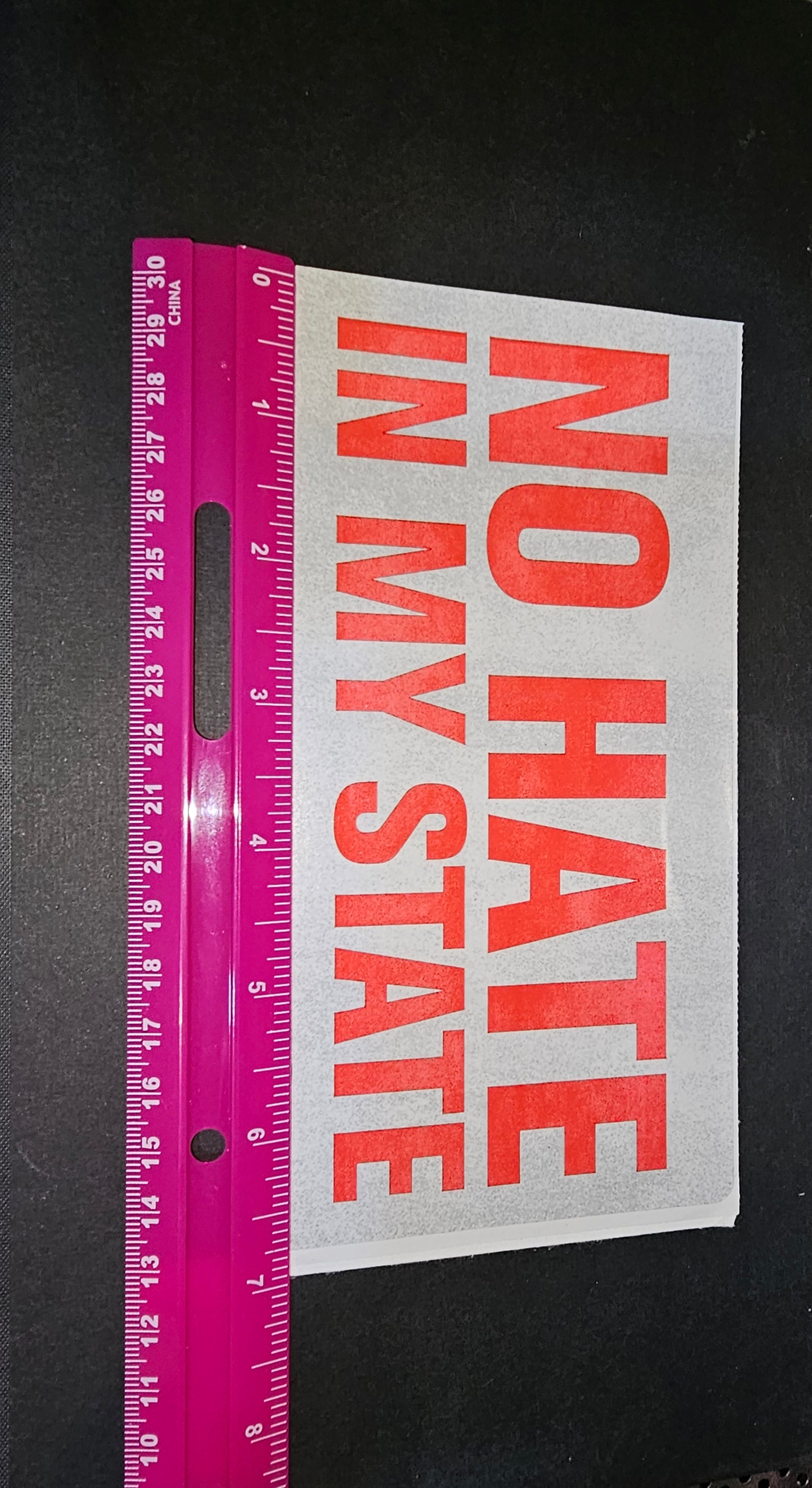 Sticker - No Hate In My State