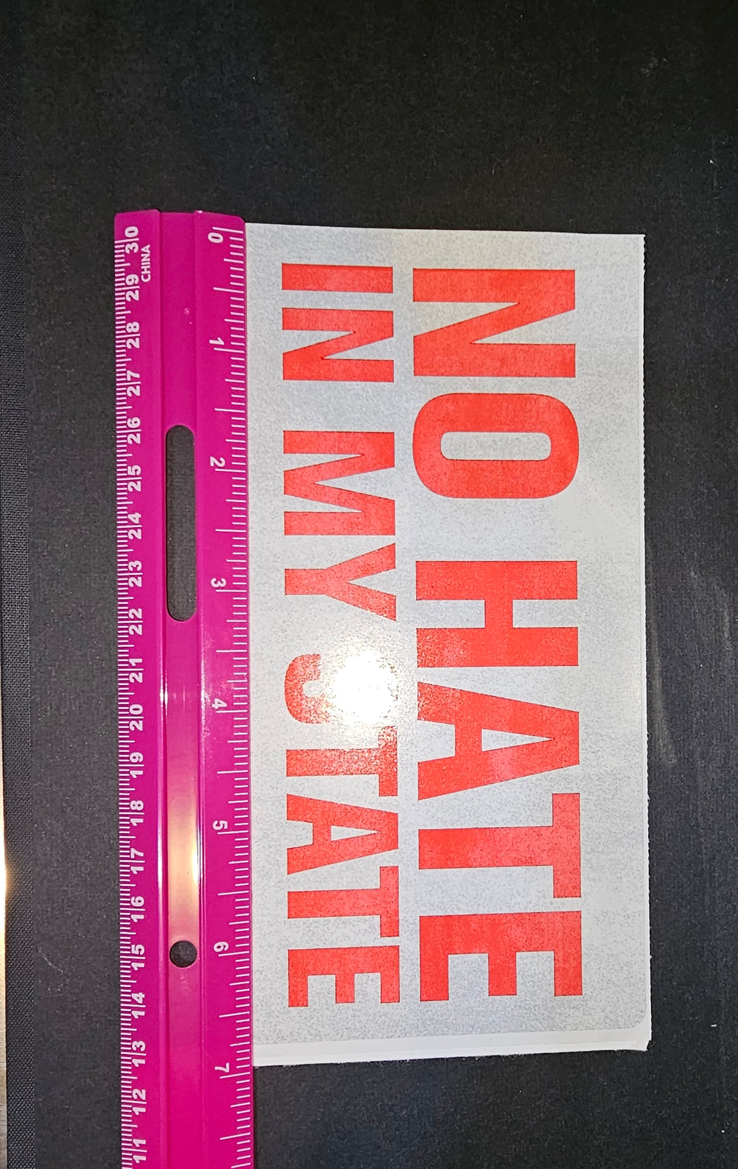 Sticker - No Hate In My State