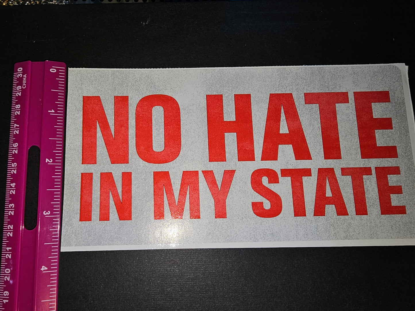 Sticker - No Hate In My State